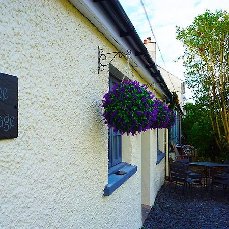 Staycation At Pine Cottage, A Newly Refurbished Holiday Cottage Goodwick Екстериор снимка